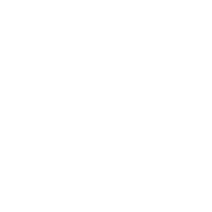 logo-mbs-blanco